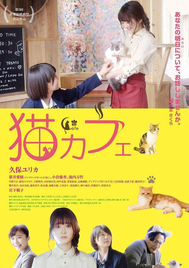 《猫咪咖啡厅》BD高清日语中字(2018)