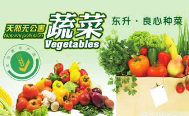 DONGSHENG东升怎么样