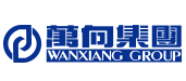 新能源汽车行业排行榜第5名 | WANXIANG万向