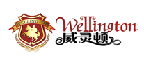 揽月科技怎么样
