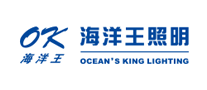 手电筒行业排行榜第3名 | 海洋王