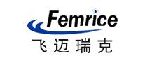 上网卡行业排行榜第9名 | 飞迈瑞克Femrice