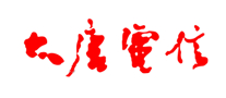 上网卡行业排行榜第10名 | 大唐电信