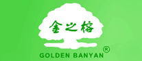司珈尔怎么样