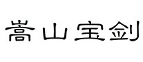 武术用品行业排行榜第5名 | 嵩山宝剑