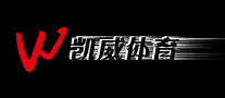 羽毛球拍行业排行榜第2名 | 凯威
