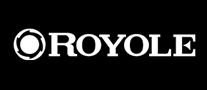液晶显示器行业排行榜第2名 | 柔宇Royole