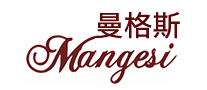 电吹风行业排行榜第4名 | 曼格斯