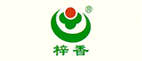 小龙人怎么样