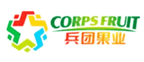 兵团果业怎么样