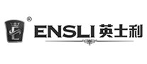 蒸汽房行业排行榜第8名 | 英士利ENSLI