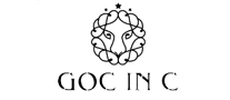 电热水袋行业排行榜第10名 | GOCINC