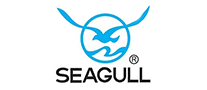 数码相机行业排行榜第5名 | 海鸥SEAGULL