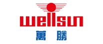 电表行业排行榜第2名 | 万胜WELLSUN