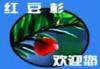 加工行业排行榜第1名 | 红豆杉