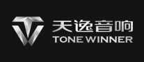 功放机行业排行榜第9名 | ToneWinner天逸