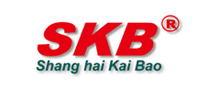 低压电器行业排行榜第5名 | 凯保SKB