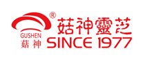 菇神灵芝怎么样