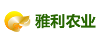 雅利怎么样