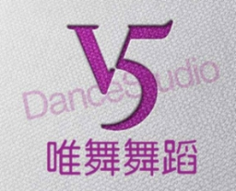 艺术学院行业排行榜第9名 | 唯舞舞蹈