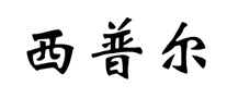 电动车充电器行业排行榜第5名 | 西普尔