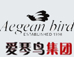 衬衫行业排行榜第10名 | 爱琴鸟