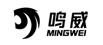 汽车音响行业排行榜第5名 | 鸣威MINGWEI