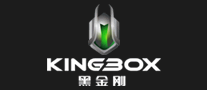 内存条行业排行榜第10名 | 黑金刚KINGBOX