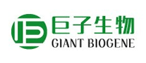 巴西淘淘TOTAL怎么样