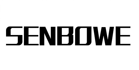 数码商城行业排行榜第2名 | SENBOWE