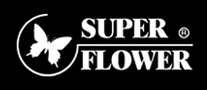 台式机电源行业排行榜第9名 | SuperFlower