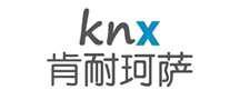 人力资源行业排行榜第3名 | 肯耐珂萨knx