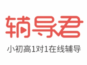网校行业排行榜第1名 | 辅导君
