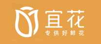 花艺行业排行榜第7名 | 宜花