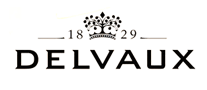 国际女包行业排行榜第1名 | DELVAUX