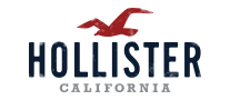 快时尚行业排行榜第9名 | Hollister霍利斯特