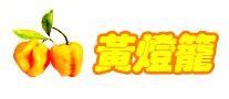 辣椒酱行业排行榜第7名 | 黄灯笼