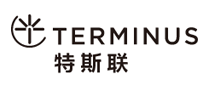 门禁系统行业排行榜第3名 | 特斯联TERMINUS