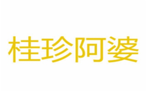牛杂行业排行榜第8名 | 桂珍阿婆牛杂