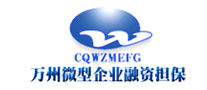 融资担保行业排行榜第7名 | 万州微型企业融资担保