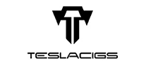 电子烟行业排行榜第10名 | TESLACIGS