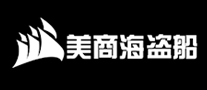 内存条行业排行榜第6名 | Corsair美商海盗船
