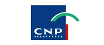 保险行业排行榜第1名 | CNP