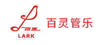 笛子行业排行榜第9名 | 百灵Lark
