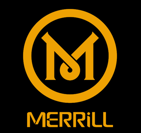 安防设备行业排行榜第1名 | Merrill美百年