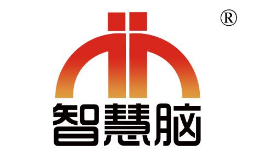 教育培训行业排行榜第5名 | 智慧脑