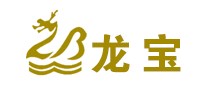 婚纱行业排行榜第1名 | 龙宝