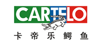 保暖鞋行业排行榜第1名 | CARTELO卡帝乐鳄鱼
