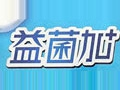 益菌加酸奶怎么样