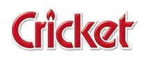 打火机行业排行榜第10名 | Cricket草蜢
